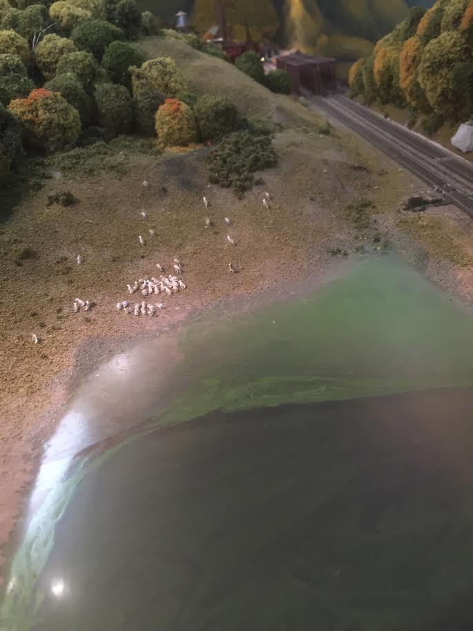 stunning n scale pond with sheep