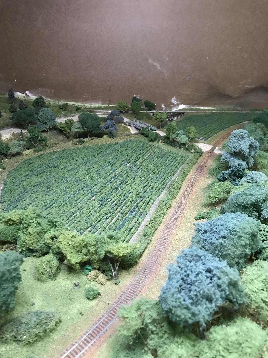 model railroad cornfield