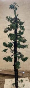 Making trees model railroad - Model railroad layouts plansModel ...