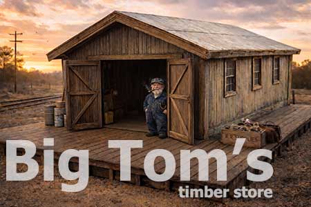 big tom's timber store printable building